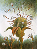 Augen Zeichnung